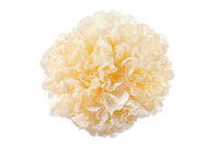 Tremella